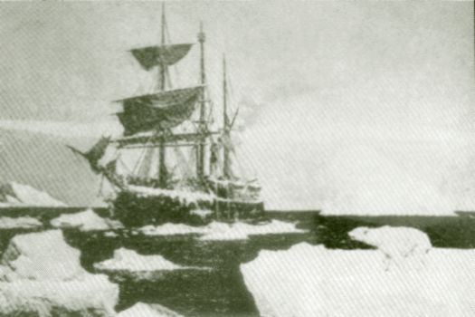 Stella Polare 1900
